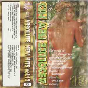 Various - Absolute New Hits Vol.13