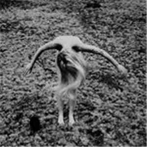 Black Egg  - Legacy From A Cold World
