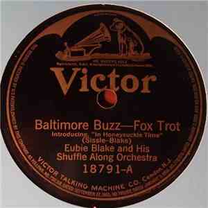 Eubie Blake And His Shuffle Along Orchestra - Baltimore Buzz / Bandana Days