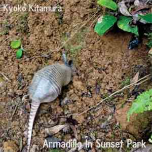 Kyoko Kitamura - Armadillo In Sunset Park