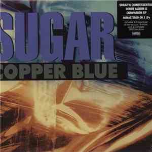 Sugar  - Copper Blue / Beaster