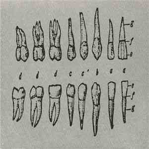 Aube / Smell + Quim - G-Radiation / The Transubstantiation Of The Shit Of C ...
