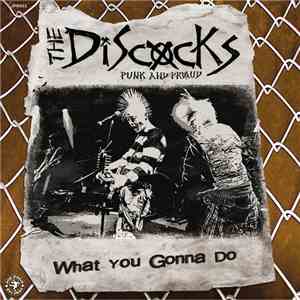 The Discocks / Smallspeaker / The Last Survivors - What You Gonna Do