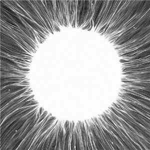 Drop-E - Mononucleosis