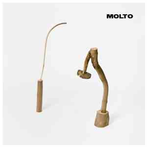 Molto  - Versatile International Service