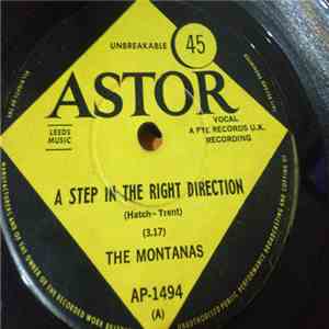 The Montanas - Step In The Right Direction