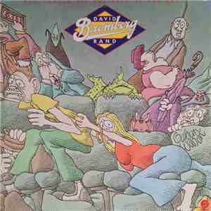 David Bromberg Band - You Should See The Rest Of The Band