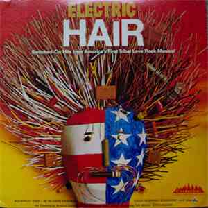 The Electric Hair - Electric Hair - Switched-On Hits From America's First T ...