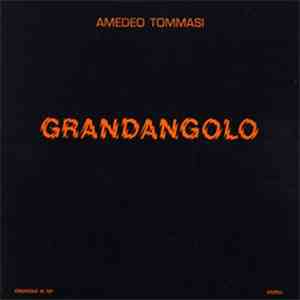 Amedeo Tommasi - Grandangolo