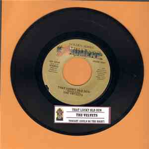 The Velvets - Tonight (Could Be The Night)
