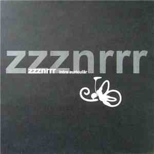 ZzzNRrr - Intra Auriculär