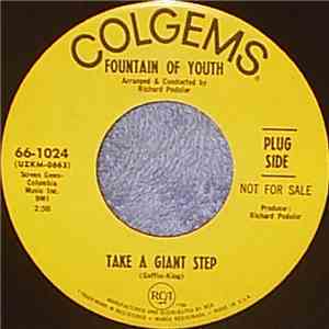 Fountain Of Youth - Take A Giant Step / Don't Blame Me (For Trying)