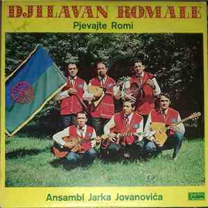 Ansambl Jarka Jovanovića - Djilavan Romale (Pjevajte Romi)
