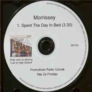 Morrissey - Spent The Day In Bed