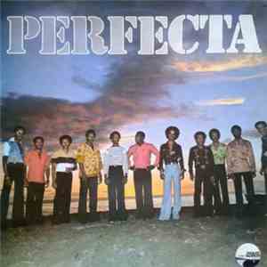 Perfecta - Perfecta