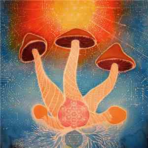 Empty Flat Resonance - Mushroom:geometry