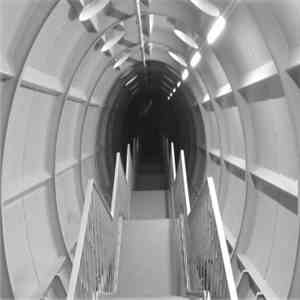 Pink City Children - Venusian Court