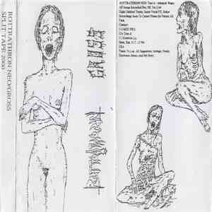 Rottrathron Neo / Gross  - Split Tape 2000