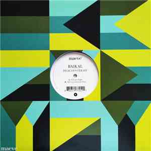 Baikal  - Pelican's Flight