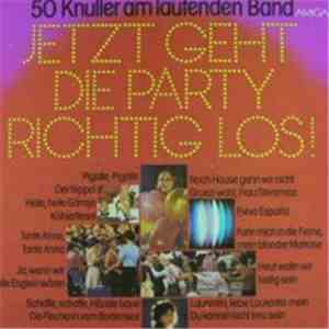 Various - Jetzt geht die Party richtig los