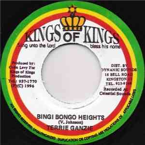Terrie Ganzie - Bingi Bongo Heights