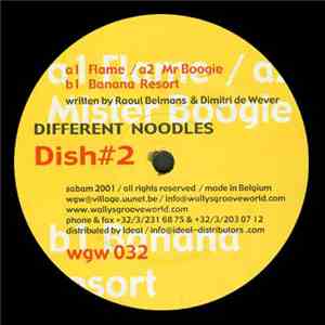 Different Noodles - Dish#2