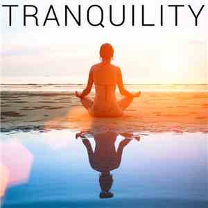 HowToBasic - Tranquility