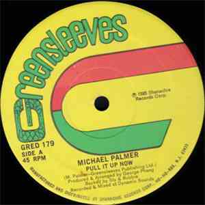 Michael Palmer - Pull It Up Now