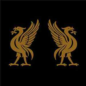 Joey Cape & Jon Snodgrass - Liverbirds