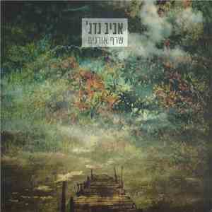 'אביב גדג - שרף אורנים