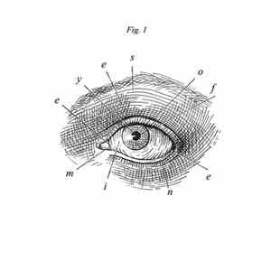 Eyes of Mine - Fig 1