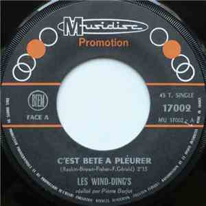 Les Wind-Ding's - C'est Bête À Pleurer