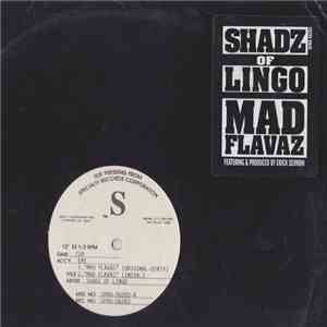 Shadz Of Lingo - Mad Flavaz