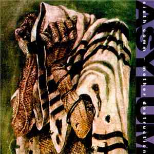 Sixth Comm ~ Mother Destruction - Asylum