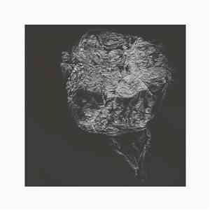 David Toop - Entities Inertias Faint Beings