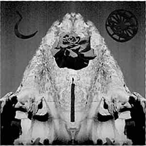 Matchess - Seraphastra