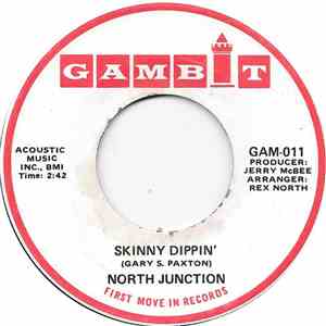 North Junction - Skinny Dippin'