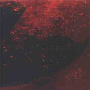 Blind Cave Salamander - Blind Cave Salamander