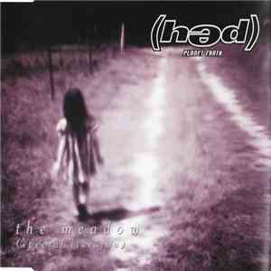 (hed) Planet Earth - The Meadow (Special Like You)