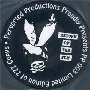 Misfits - Return Of The Fly