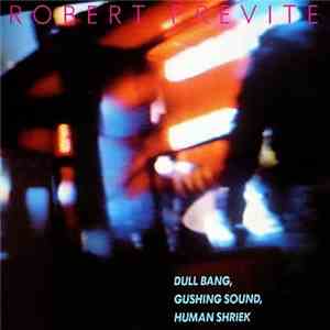 Robert Previte - Dull Bang, Gushing Sound, Human Shriek
