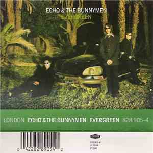 Echo & The Bunnymen - Evergreen