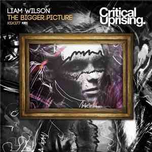 Liam Wilson  - The Bigger Picture