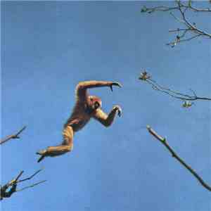 Star Club West - My Ill Women