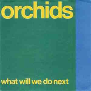 The Orchids  - What Will We Do Next?