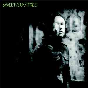 Sweet Gum Tree - Sustain The Illusion