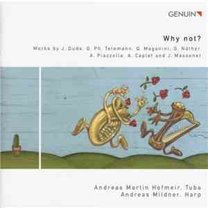 Andreas Martin Hofmeir, Andreas Mildner - Why Not?