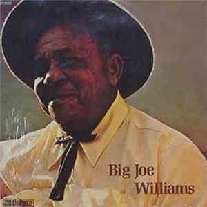 Big Joe Williams - Big Joe Williams