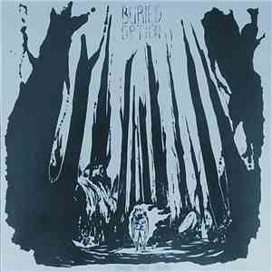 Buried Option - Share Once More