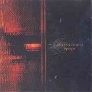 Antemeridiem - Opaque